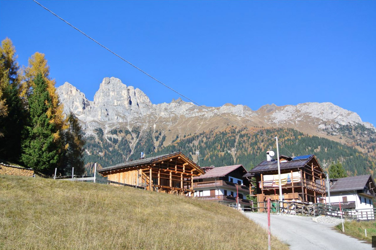 D Falcade 8A - Dolomites