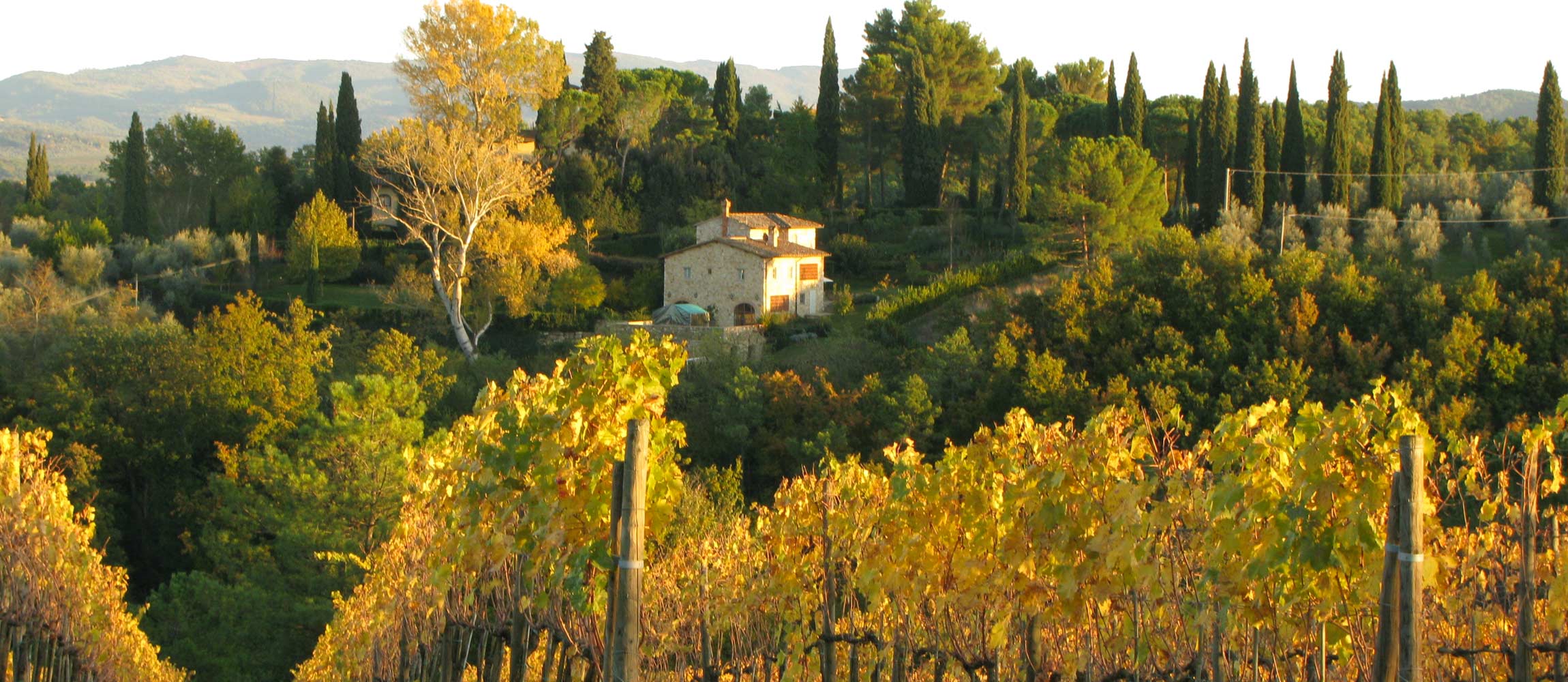 Tuscany Stone Farm Houses