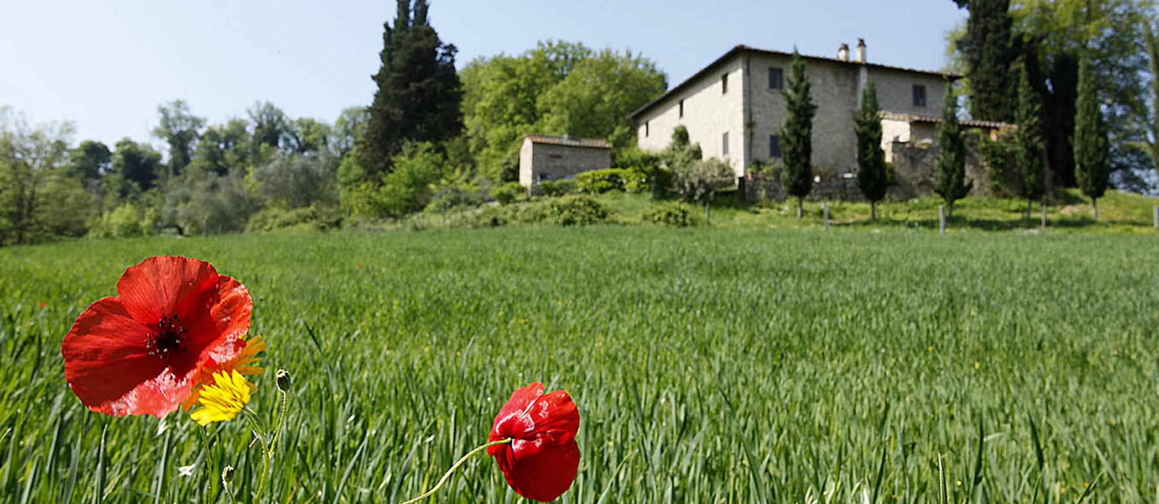 Tuscany Stone Farm Houses