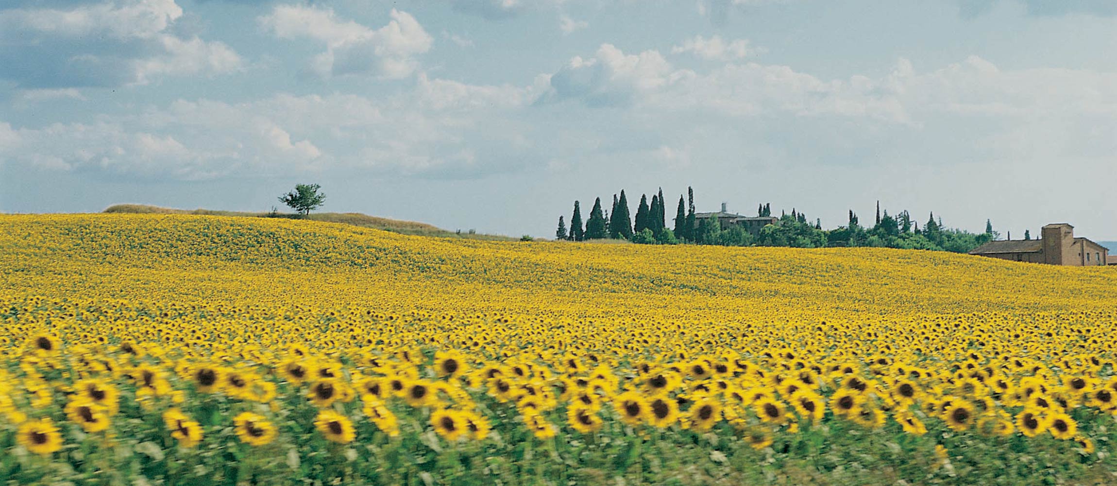 Tuscany